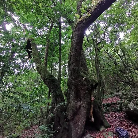 Habitación en casa particular Cc39-q6 *