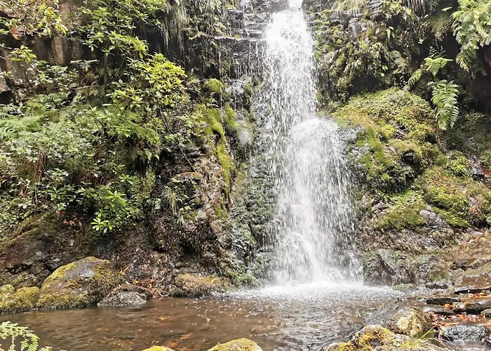 Alloggio in famiglia Cc39-q6