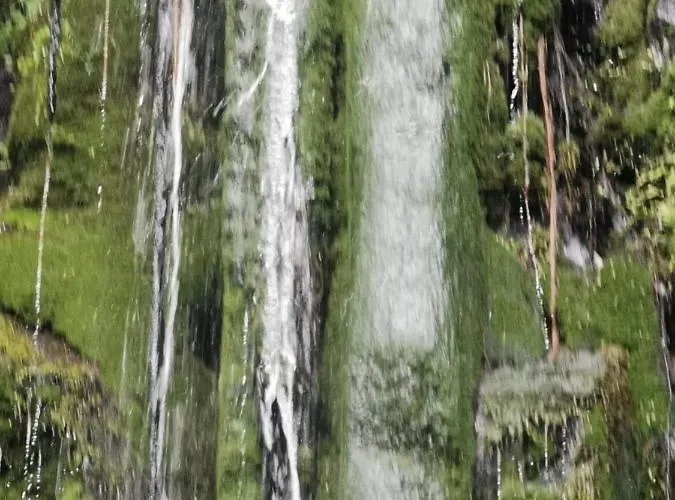 Cc39-q6 Alloggio in famiglia