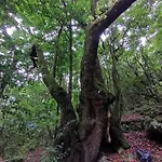 Séjour chez l'habitant Cc39-q6 *