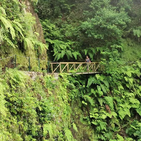 Séjour chez l'habitant Cc39-q6 Funchal (Madeira)