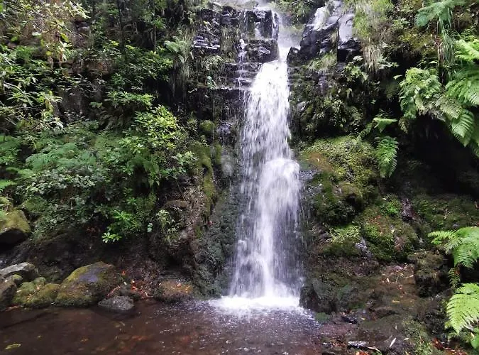 Cc39-q6 Alloggio in famiglia