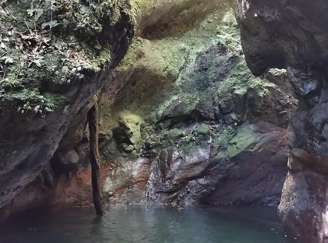 Cc39-q6 * Funchal (Madeira)