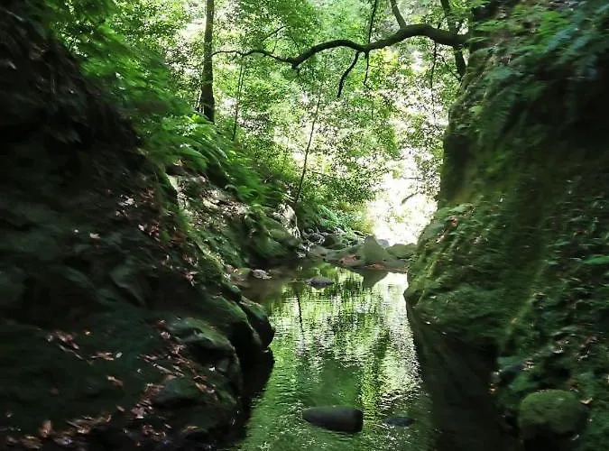 Alloggio in famiglia Cc39-q6