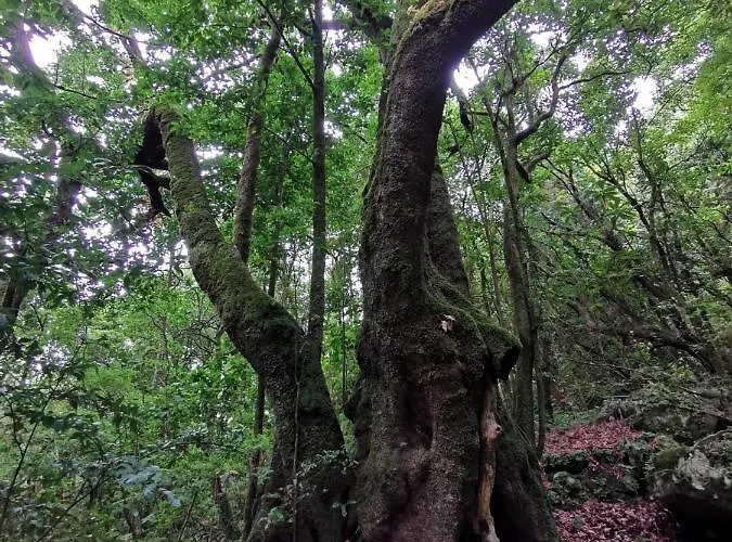 Alloggio in famiglia Cc39-q6 *