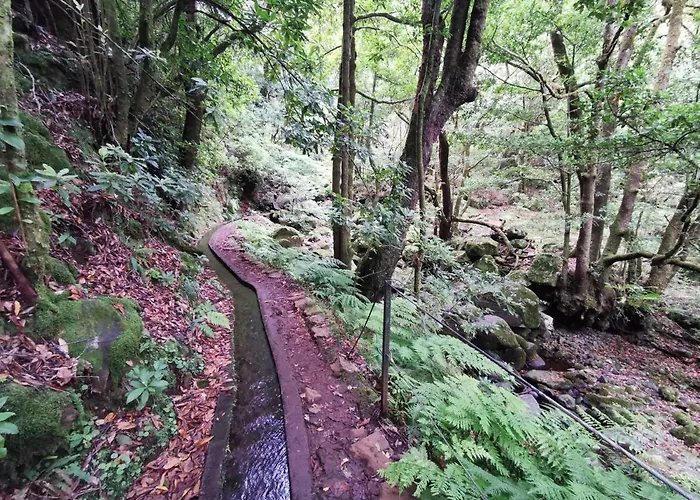 Alloggio in famiglia Cc39-q6