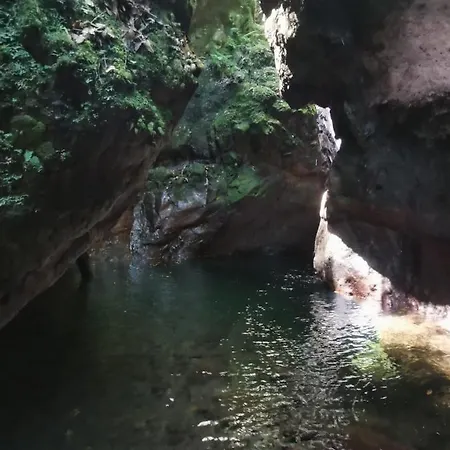 ホームステイ Cc39-q6 *