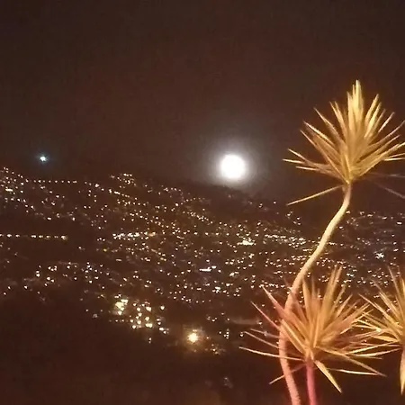 Cc39-q6 Privatunterkunft Funchal (Madeira)