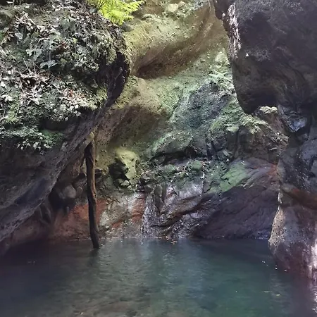 Cc39-q6 * フンシャル