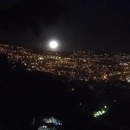 Cc39-q6 ホームステイ *