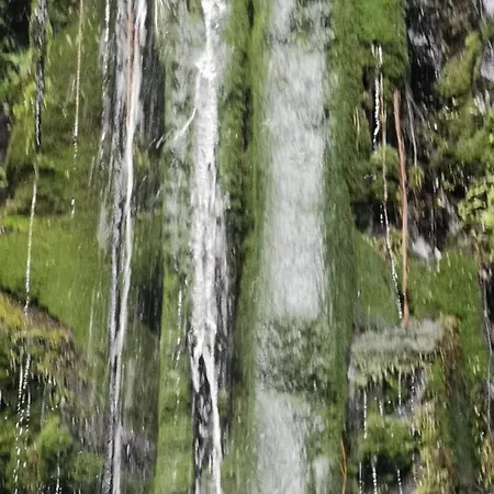 Cc39-q6 Privatunterkunft