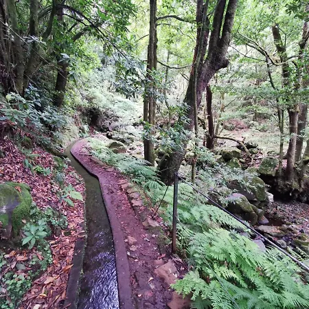 ホームステイ Cc39-q6