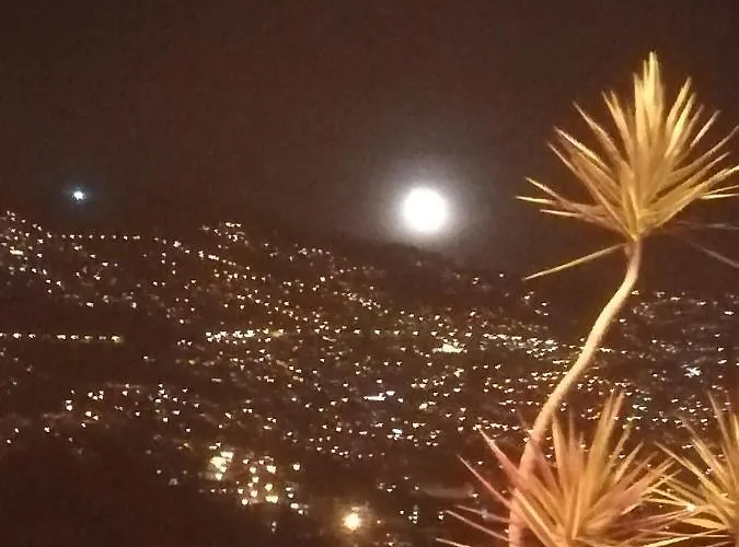 Cc39-q6 Homestay szállás Funchal