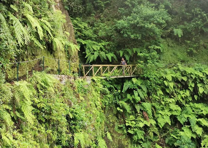 Homestay szállás Cc39-q6 Funchal