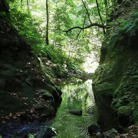 Проживание в семье Cc39-q6